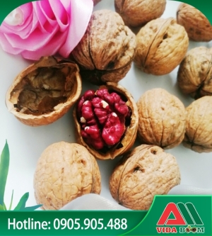 Óc chó đỏ Mỹ (Nguyên quả) bịch 500gr Óc chó đỏ Mỹ (Nguyên quả) bịch 500gr