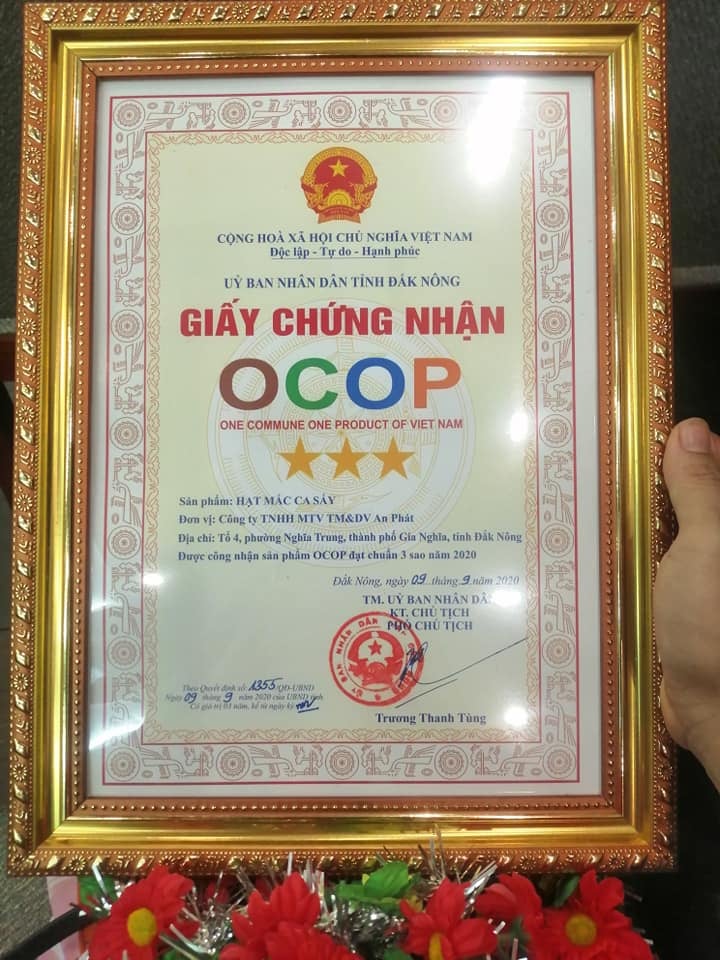Giới Thiệu