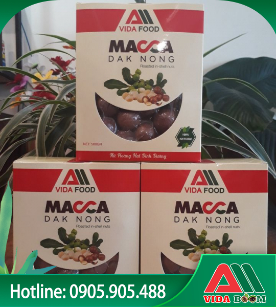 Hạt Macca hộp giấy
