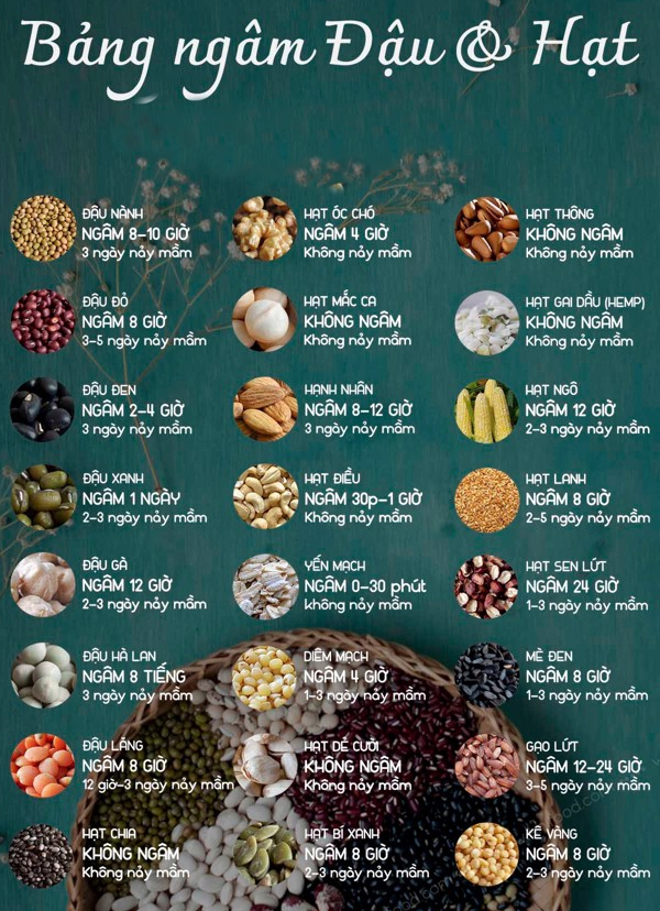 GIỚI THIỆU VỀ SỮA HẠT