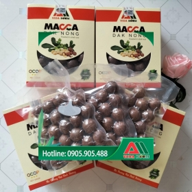 Công dụng tuyệt vời của hạt macca tươi.