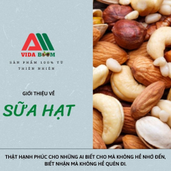 GIỚI THIỆU VỀ SỮA HẠT