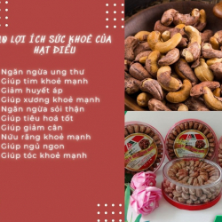 Hạt điều và tác dụng của hạt điều