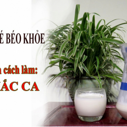 Hướng dẫn làm sữa từ hạt mắc ca