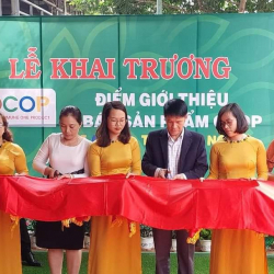 Khai trương điểm giới thiệu bán sản phẩm Occop tỉnh Đăk Nông