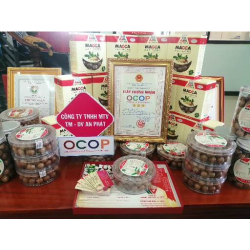 Quy trình làm ra hạt macca (mắc ca) sấy thơm ngon - Đặc sản Đắk Nông